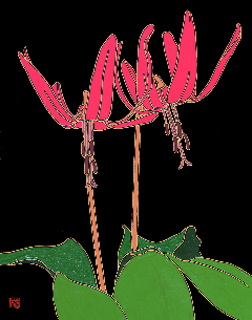 小磯稔「カタクリ」