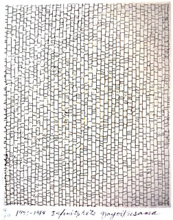 ���Ԝ\���uInfinity Nets�v