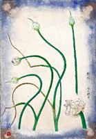 �n�ӗ����W