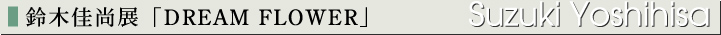 ��؉����W�uDREAM FLOWER�v