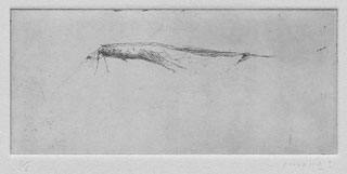 �~�c���q�u���Ǝ��@��\���v