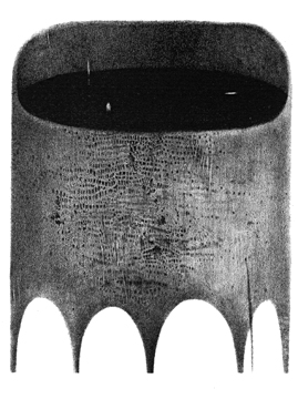 ���؂Ȃ����u�ԉ΁v