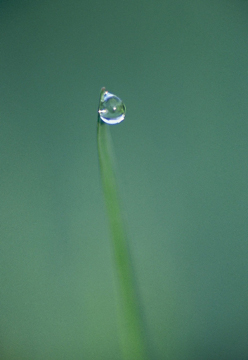 �����m�����L�u���_�v