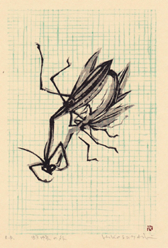 ���яt�K�u�ᒠ�̊O�v