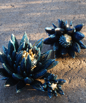 荻間久美「瑠璃の花」