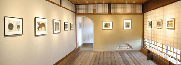 �V���G���@�������G�W