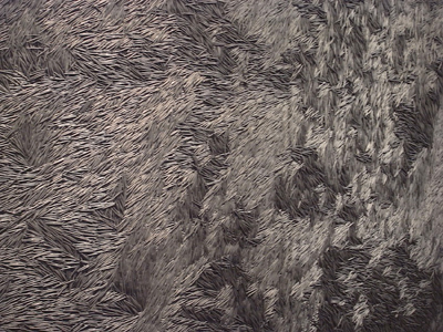 ����F���uaccumulate�v